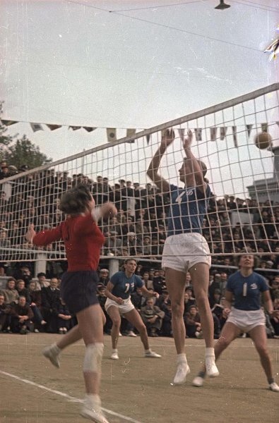 Чемпионат СССР по волейболу 1951 года (Тбилиси, финал)